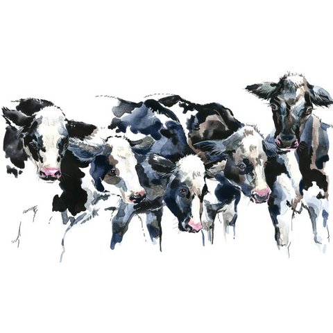 Magnetic marker board - Group of cows