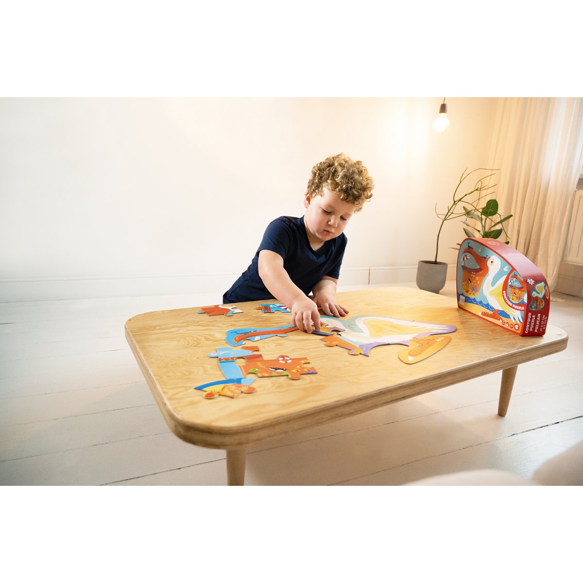 Contour Puzzel - Pelikaan