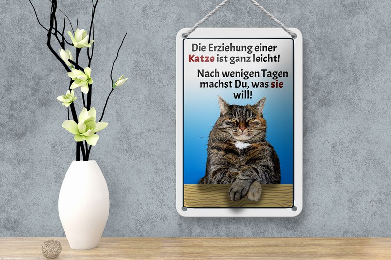 Tin sign saying 12x18cm raising a cat easy decoration