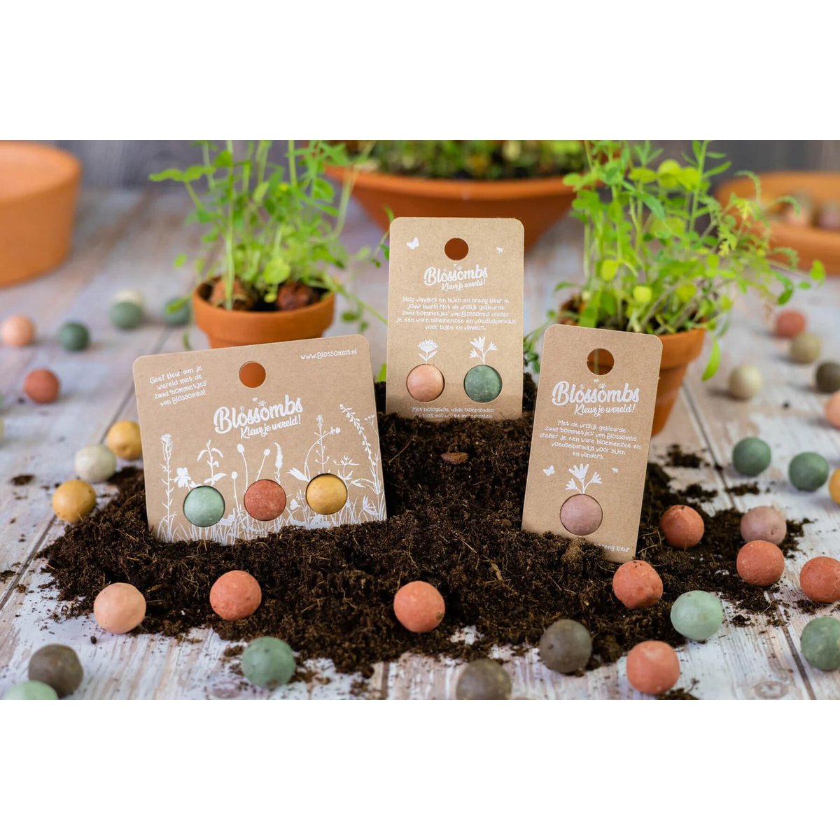 Giveaway Gift with 3 Flower Bombs - Colorful christmas