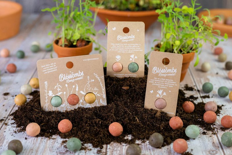Giveaway Gift with 3 Flower Bombs - Colorful christmas