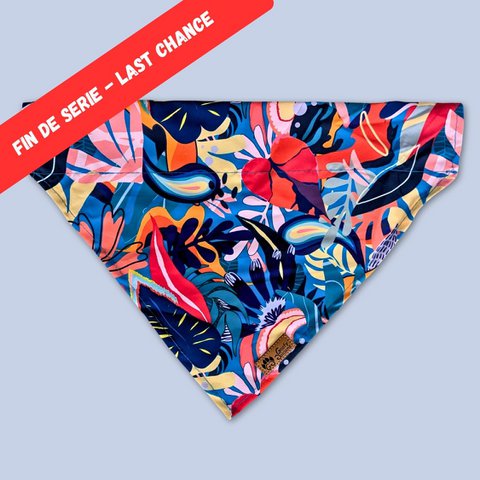 Lagon Dog Bandana