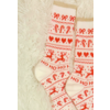 Santa's Favorite