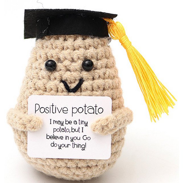 Q-N6.1 T2405-041 Knitted Positive Student 8cm