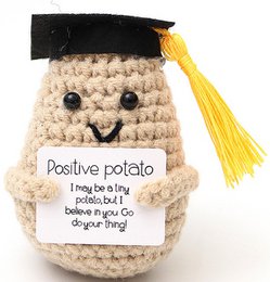 Q-N6.1 T2405-041 Knitted Positive Student 8cm