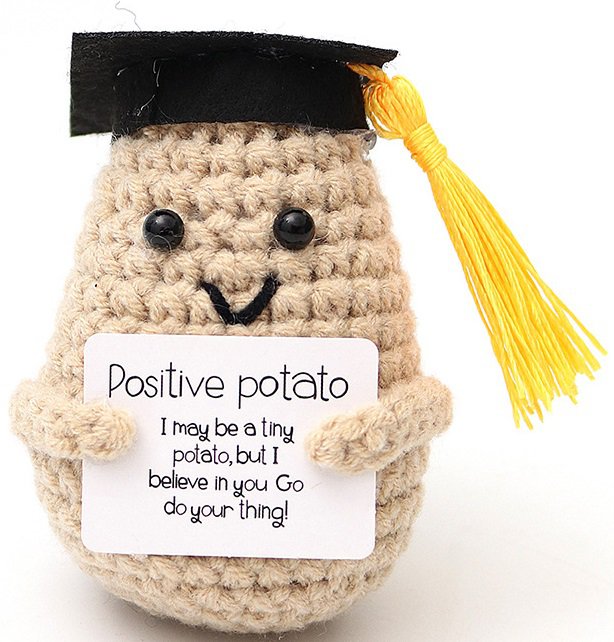 Q-N6.1 T2405-041 Knitted Positive Student 8cm