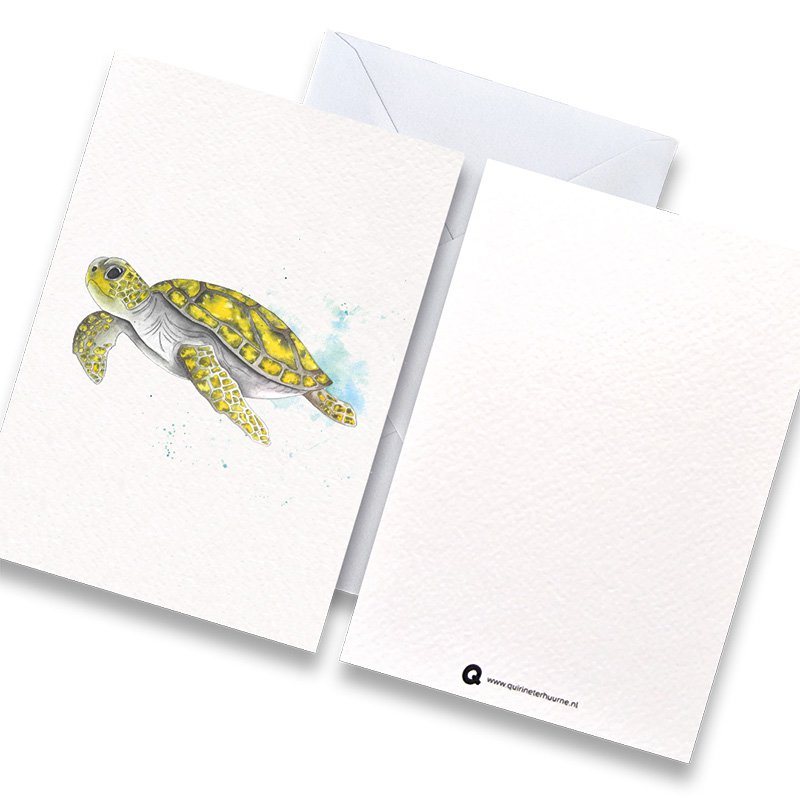 Card turtle color with envelope