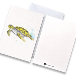 Kaart schildpad kleur met envelop