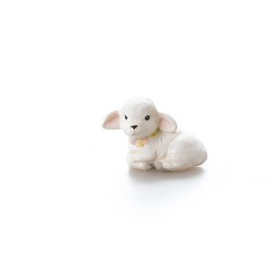 Lamb Lambert