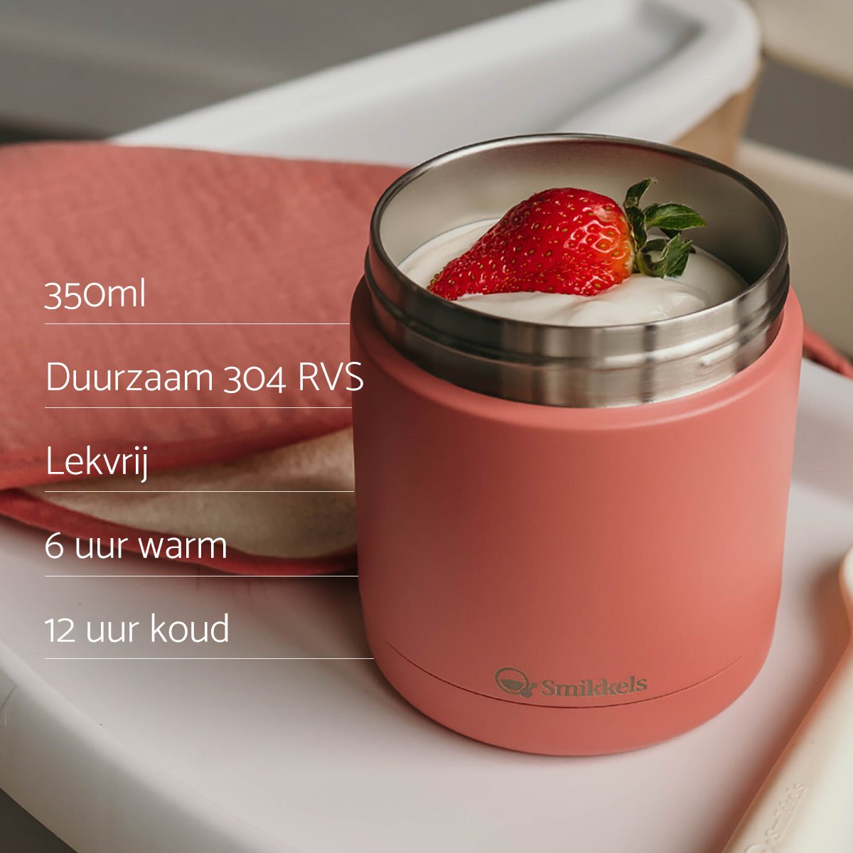 Thermos lunch container