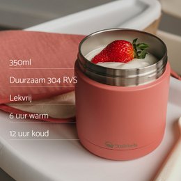 Thermos lunch container