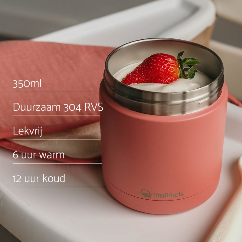 Thermos lunch container