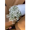 Bouquet of white gypsophila dried flowers