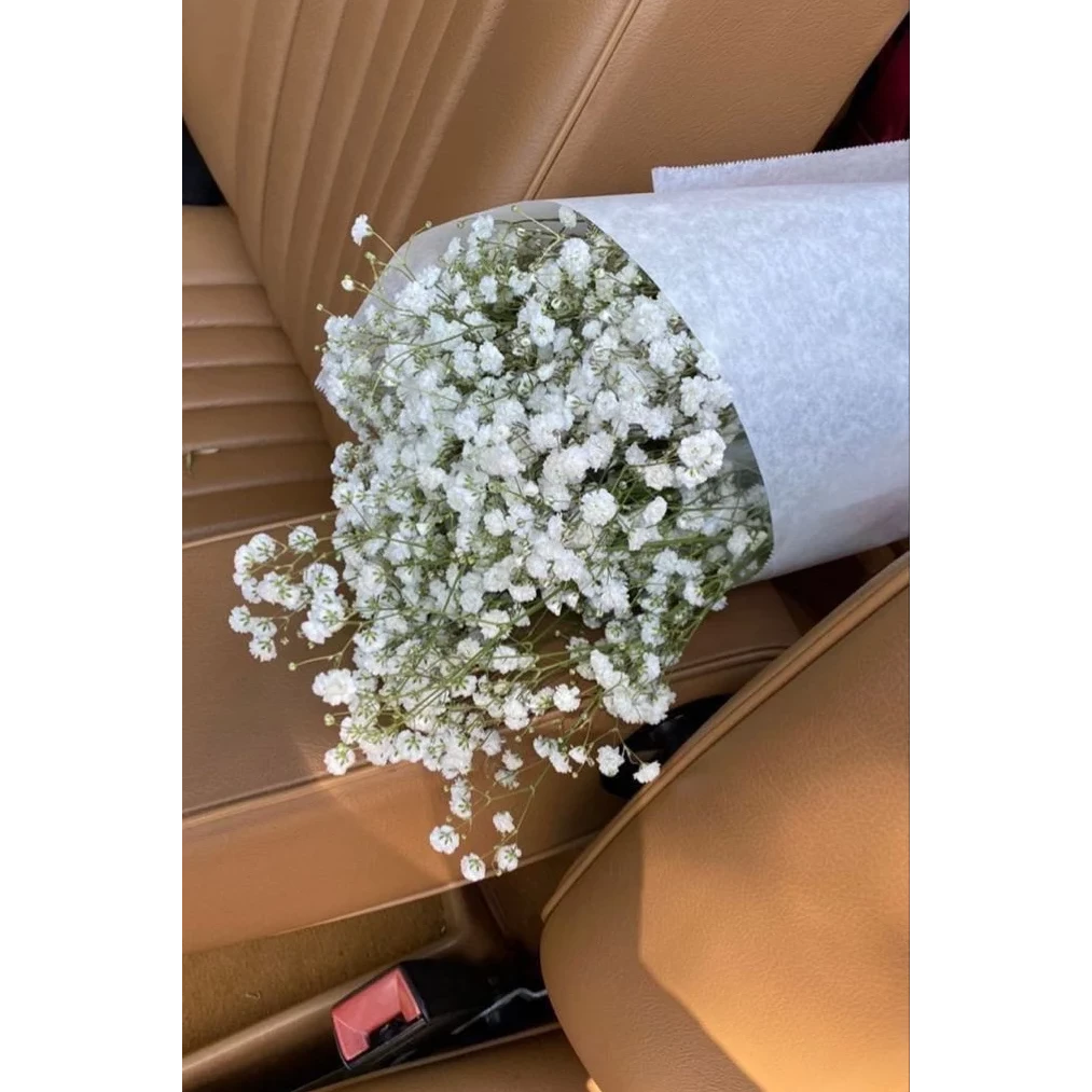 Ramo de flores secas de gypsophila blanca