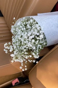 Bouquet of white gypsophila dried flowers