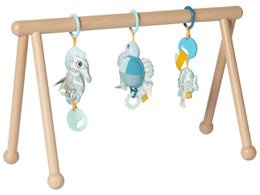 Van Dijk Toys & Dolce Houten Baby Gym Ocean (Childcare Quality)