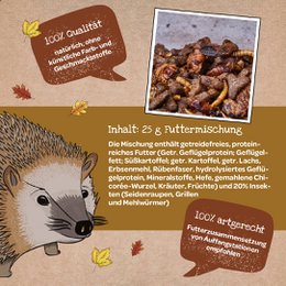 Kleine Mahlzeit Igel
