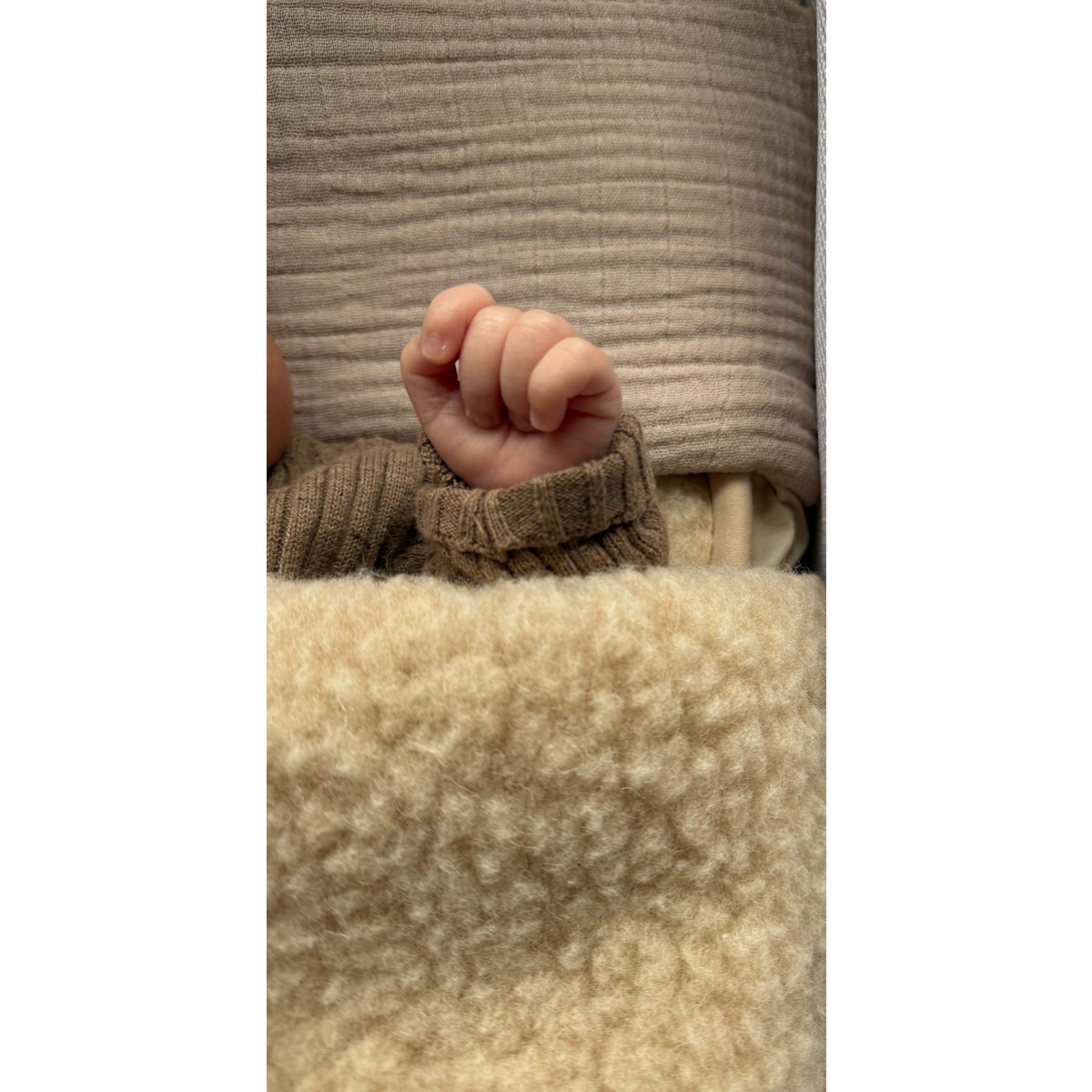 100% merino want decs
