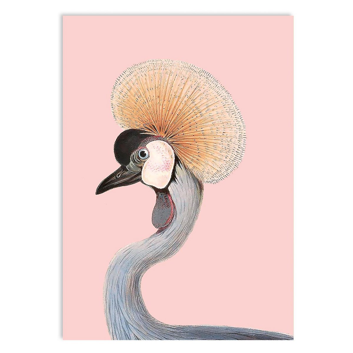 Miniprint A5 Margarita