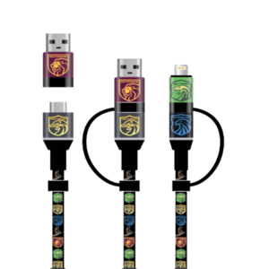Harry Potter - 4-in-1 charging cable