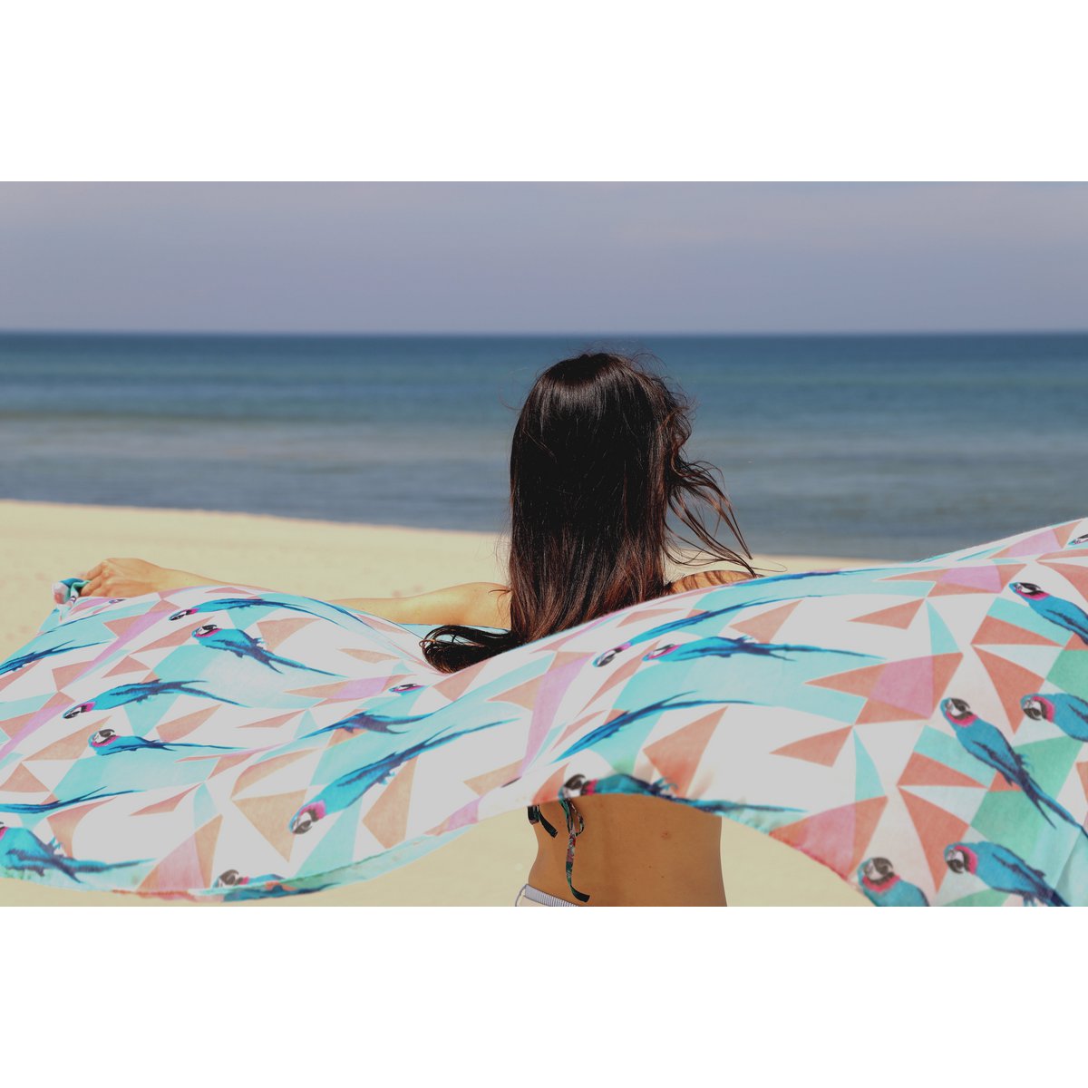 Viscose pareo with parrot pattern in multicolor