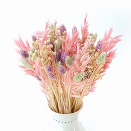 Sæt med tørrede blomster Farverigt - hør, havre, phalaris