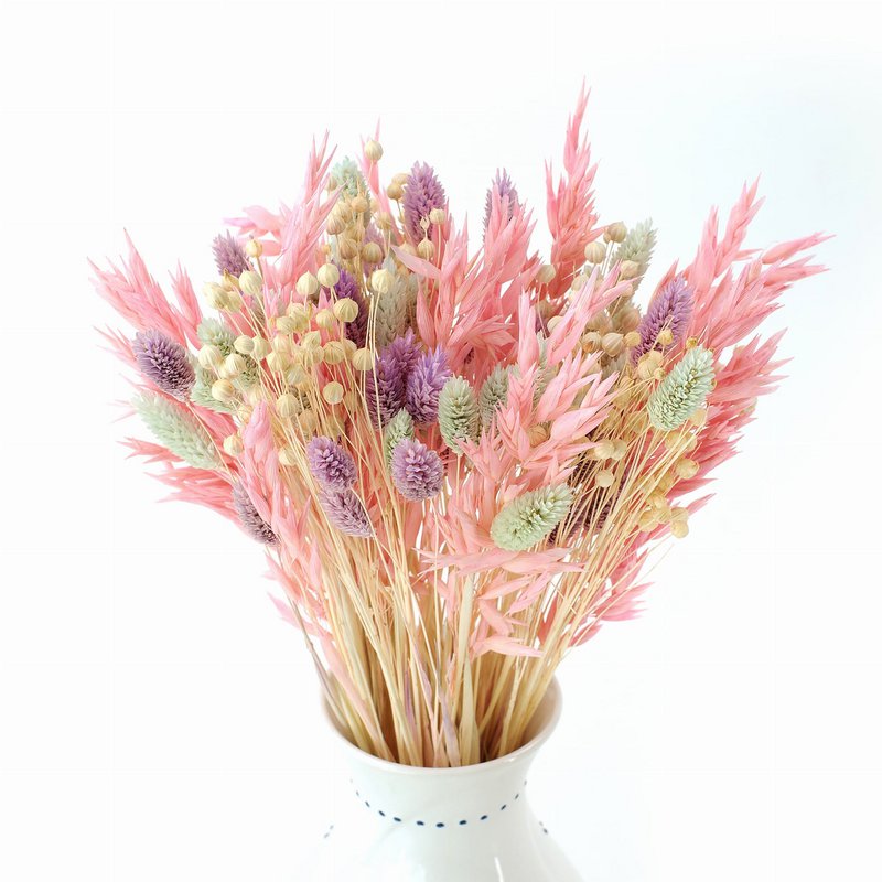 Sæt med tørrede blomster Farverigt - hør, havre, phalaris