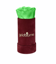 Velvet Bordeaux Collection