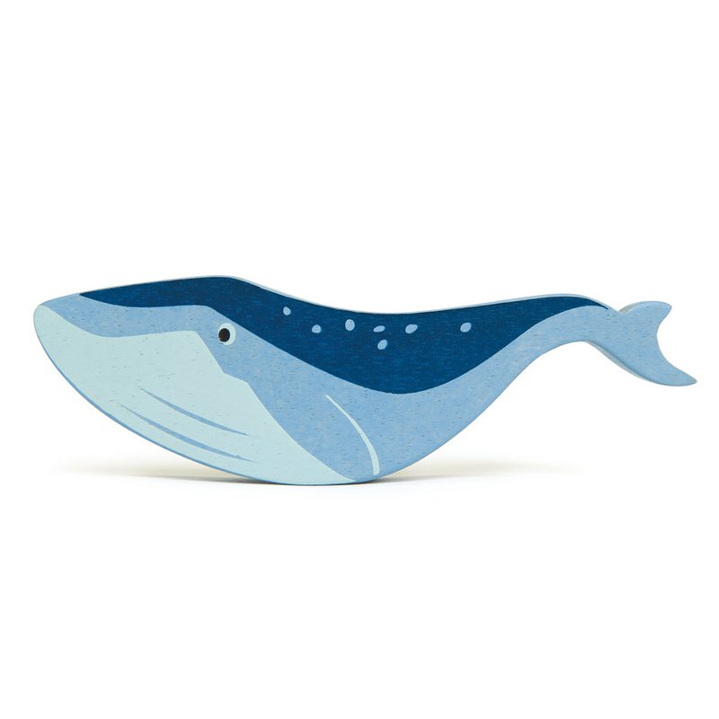 Animal marin - Baleine
