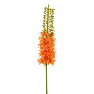 Steppenkerze Oranje H. 87 cm