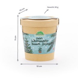Weihnachtsbaum aus dem Becher