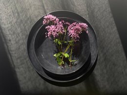 Elements Fossil Grey Soup Plate