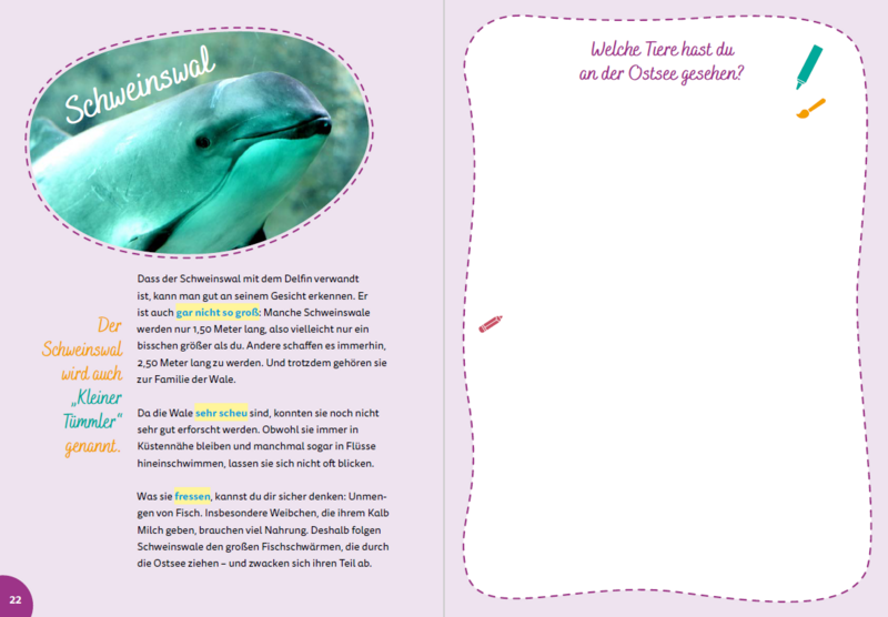 Baltic Sea for kids