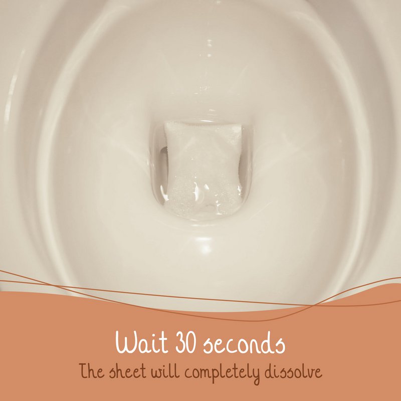 Cosmeau Toilet Cleaner Sheets