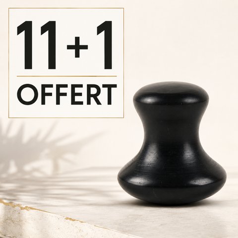 Set of 11 + 1 Free - Champi Gua Sha in Black Serpentine