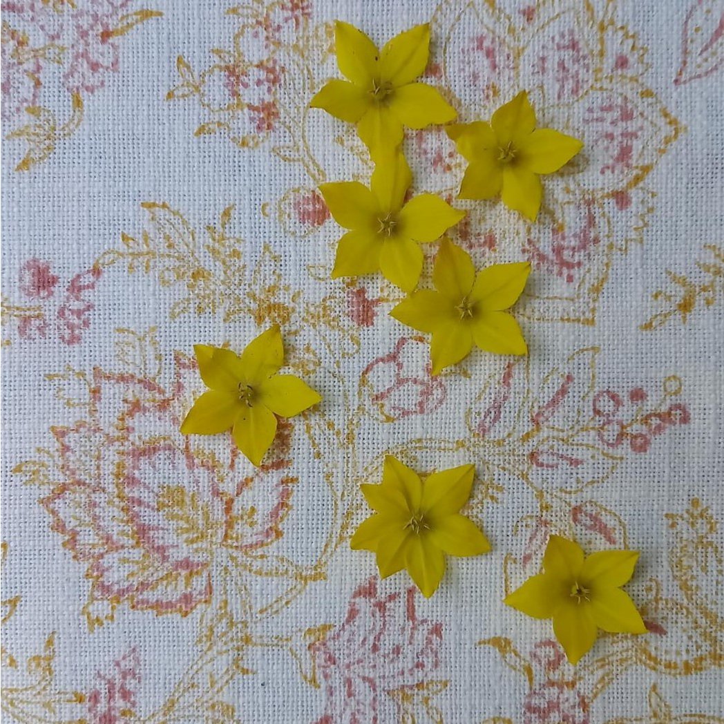 Tablecloth 'Flower' Pink/Ochre, Large