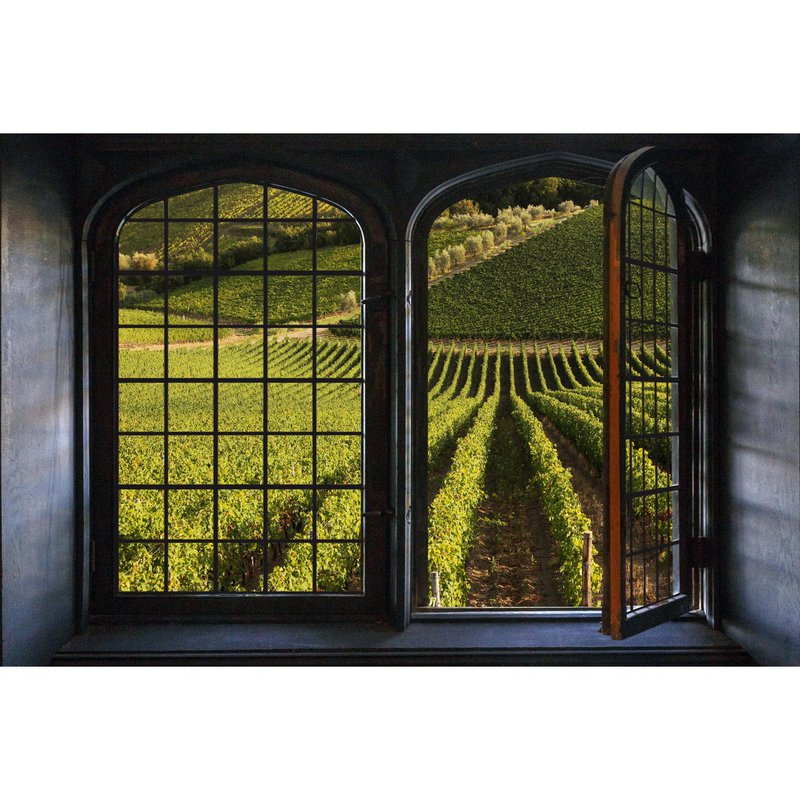 3D Wall Sticker - Grape Fields