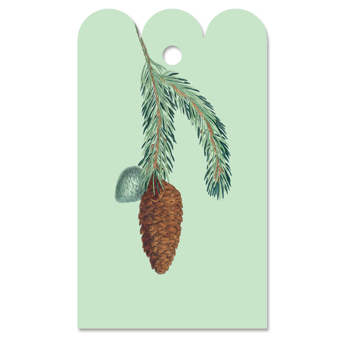 Gift Tag Picea