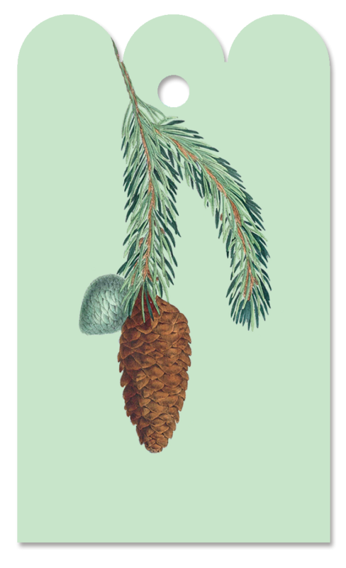 Gift Tag Picea