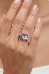 Bague en acier inoxydable ajustable
