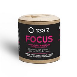 1337