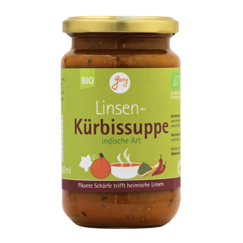 Linsen Kürbissuppe indische Art Bio