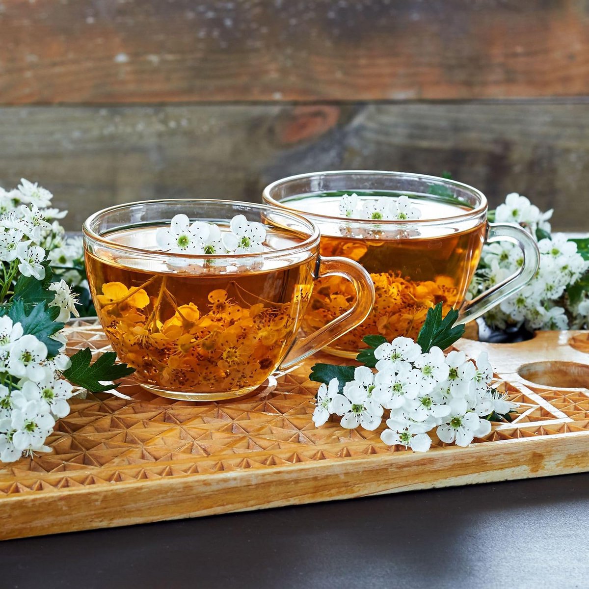 CULTIVEA® Mini Kit Ready to Grow World Teas - 100% organic seeds - Garden and enjoy - Gift idea (Garden tea, mint, chamomile, agastache, green anise)