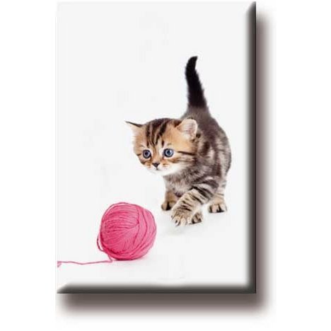 Koelkastmagneet, Kat met bolletje wol