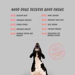 Dog behandler ost og skinke/bacon tygg (boks)