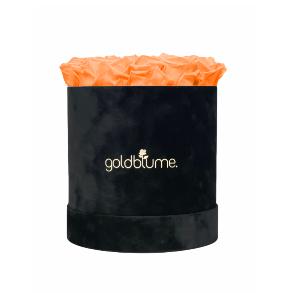 Velvet Black-collectie