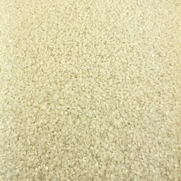 Organic Round White Rice in Bulk