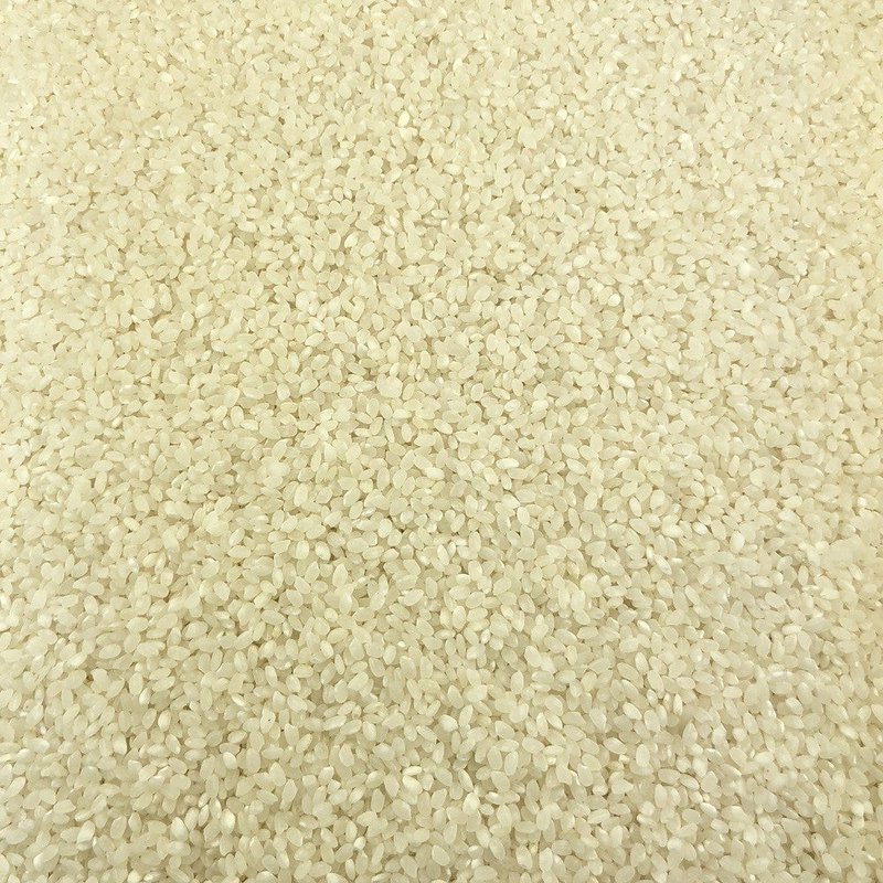 Organic Round White Rice in Bulk