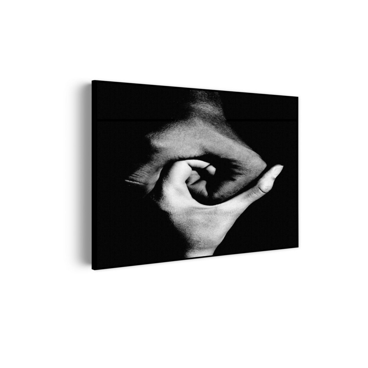 Acoustic Painting The whole Rectangle Horizontal