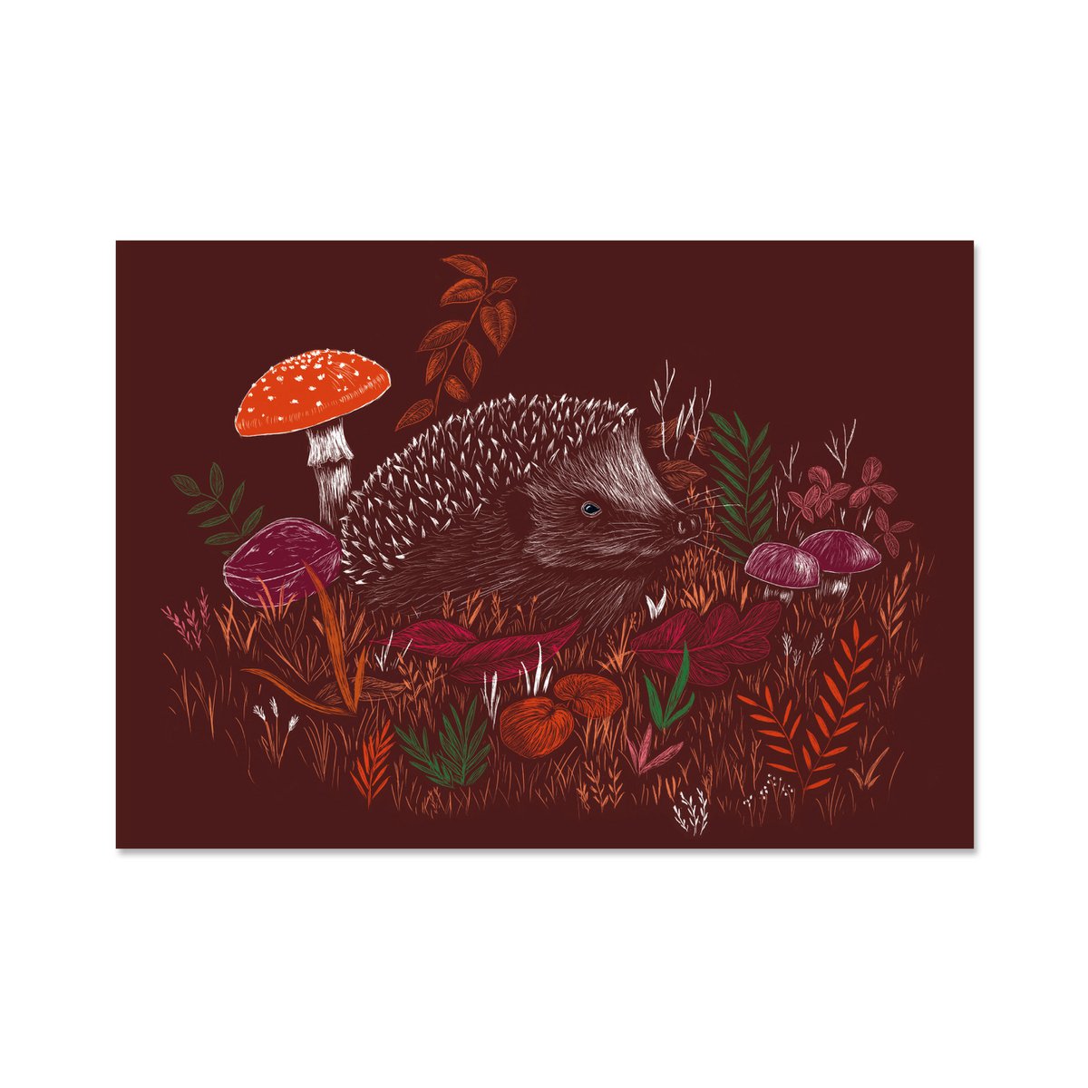 Hedgehog Poster A4